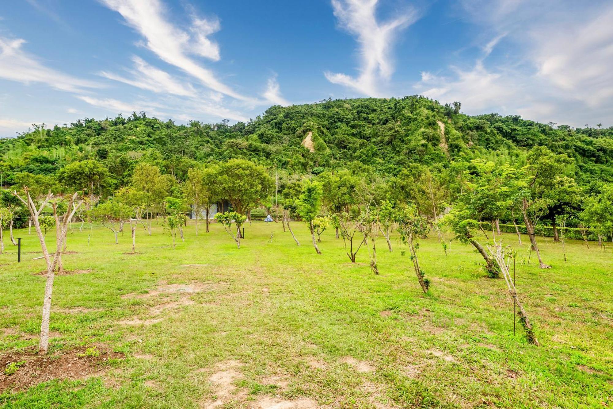 Dream Field Apartman Luje Kültér fotó